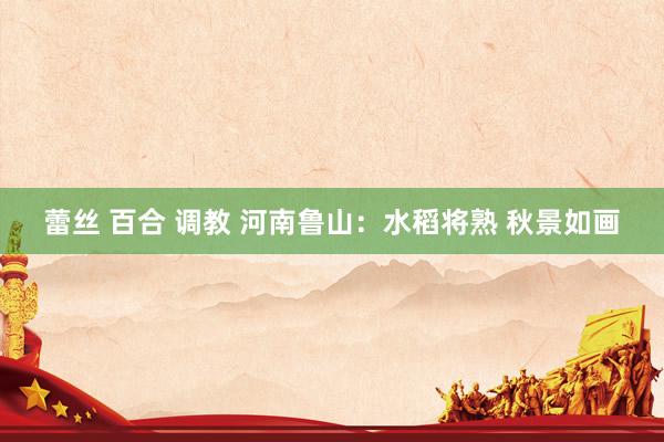 蕾丝 百合 调教 河南鲁山：水稻将熟 秋景如画