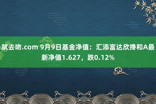 就去吻.com 9月9日基金净值：汇添富达欣搀和A最新净值1.627，跌0.12%