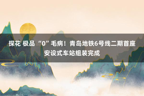 探花 极品 “0”毛病！青岛地铁6号线二期首座安设式车站组装完成