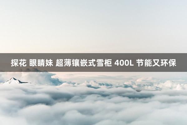 探花 眼睛妹 超薄镶嵌式雪柜 400L 节能又环保