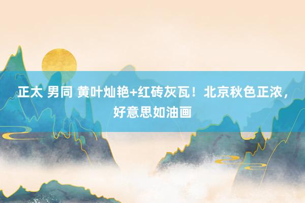 正太 男同 黄叶灿艳+红砖灰瓦！北京秋色正浓，好意思如油画