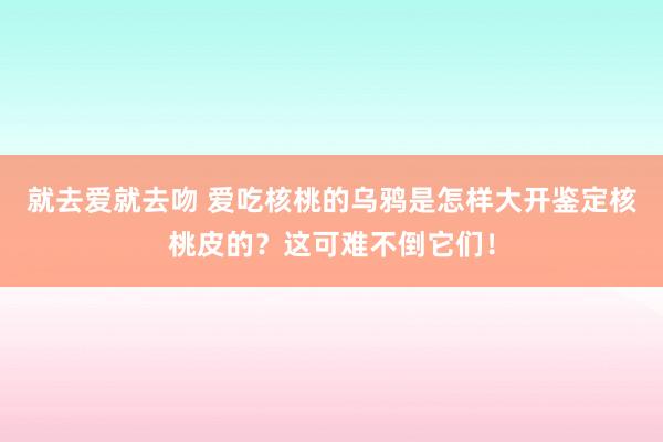 就去爱就去吻 爱吃核桃的乌鸦是怎样大开鉴定核桃皮的？这可难不倒它们！