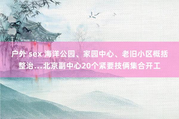 户外 sex 海洋公园、家园中心、老旧小区概括整治…北京副中心20个紧要技俩集合开工