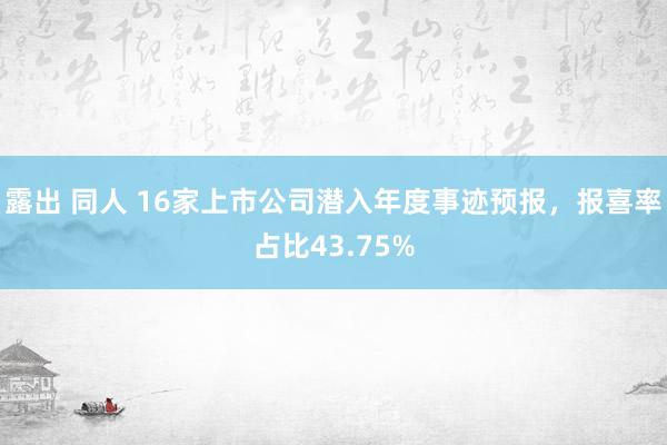 露出 同人 16家上市公司潜入年度事迹预报，报喜率占比43.75%