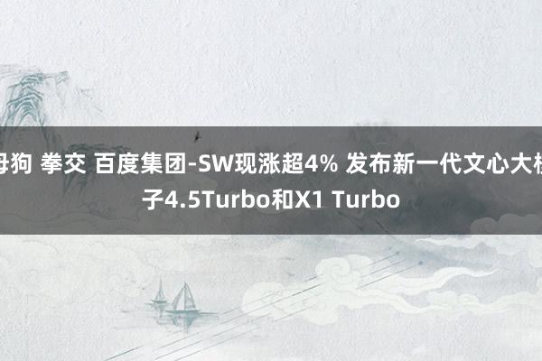 母狗 拳交 百度集团-SW现涨超4% 发布新一代文心大模子4.5Turbo和X1 Turbo